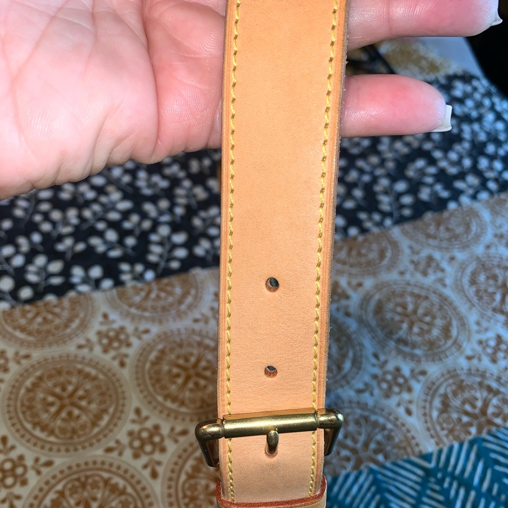 LV Croissant Bag
